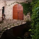 Vip Miku *