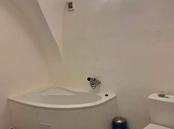 Vip Miku 1 דירה *