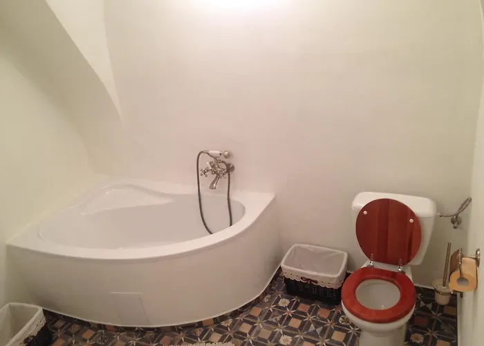 Vip Miku 1 דירה *