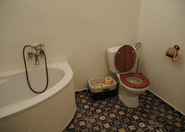 Vip Miku 1 * מיקולוב